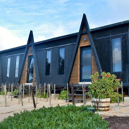 Finca Cazosa Valle de Guadalupe Ngoại thất bức ảnh