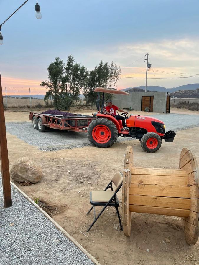 Finca Cazosa Valle de Guadalupe Ngoại thất bức ảnh