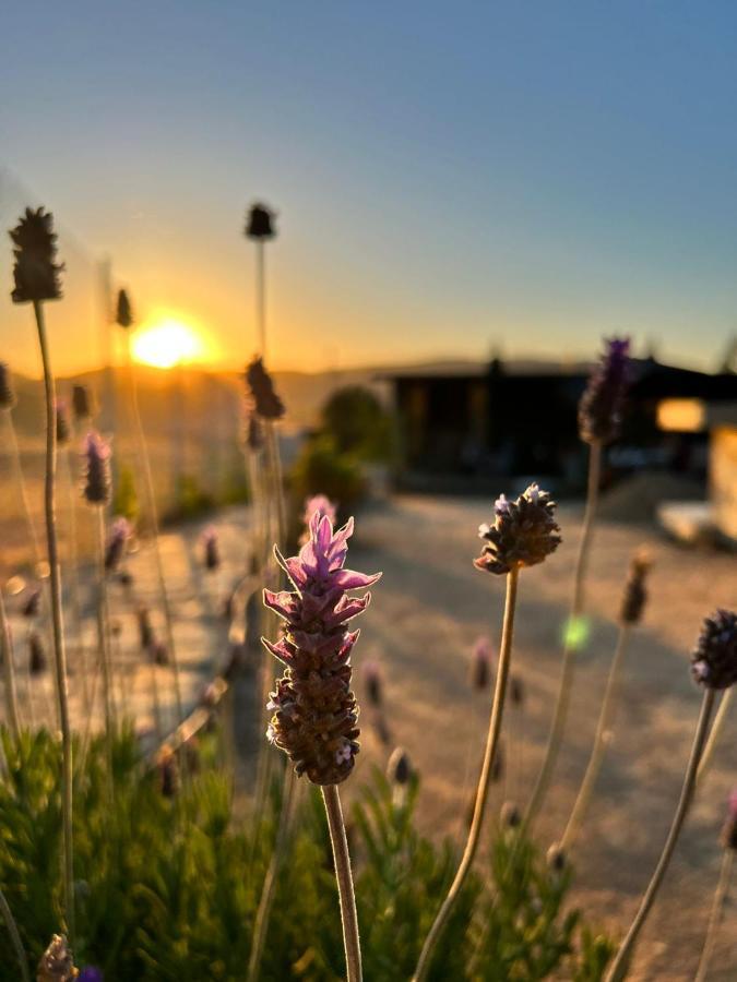 Finca Cazosa Valle de Guadalupe Ngoại thất bức ảnh
