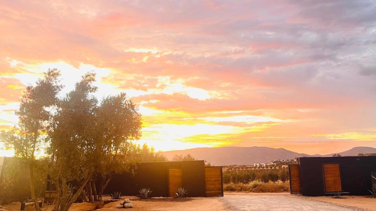 Finca Cazosa Villa Valle de Guadalupe Ngoại thất bức ảnh