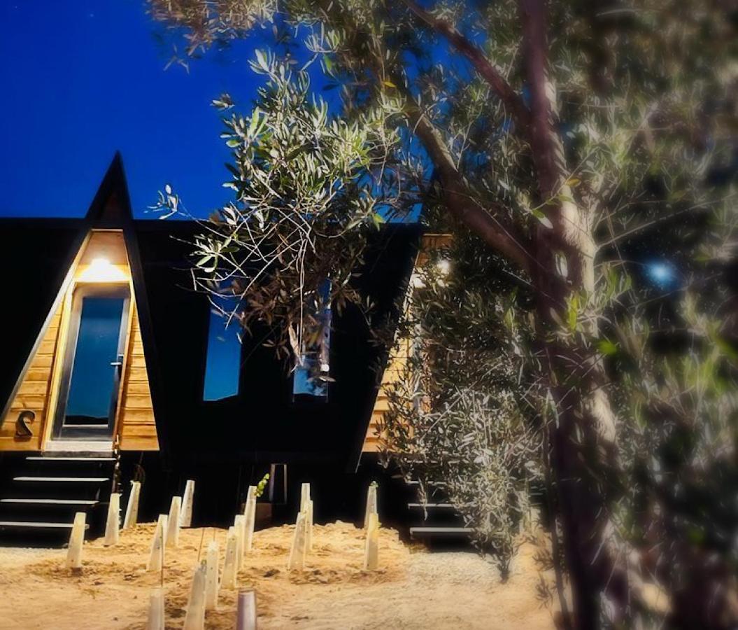 Finca Cazosa Valle de Guadalupe Ngoại thất bức ảnh