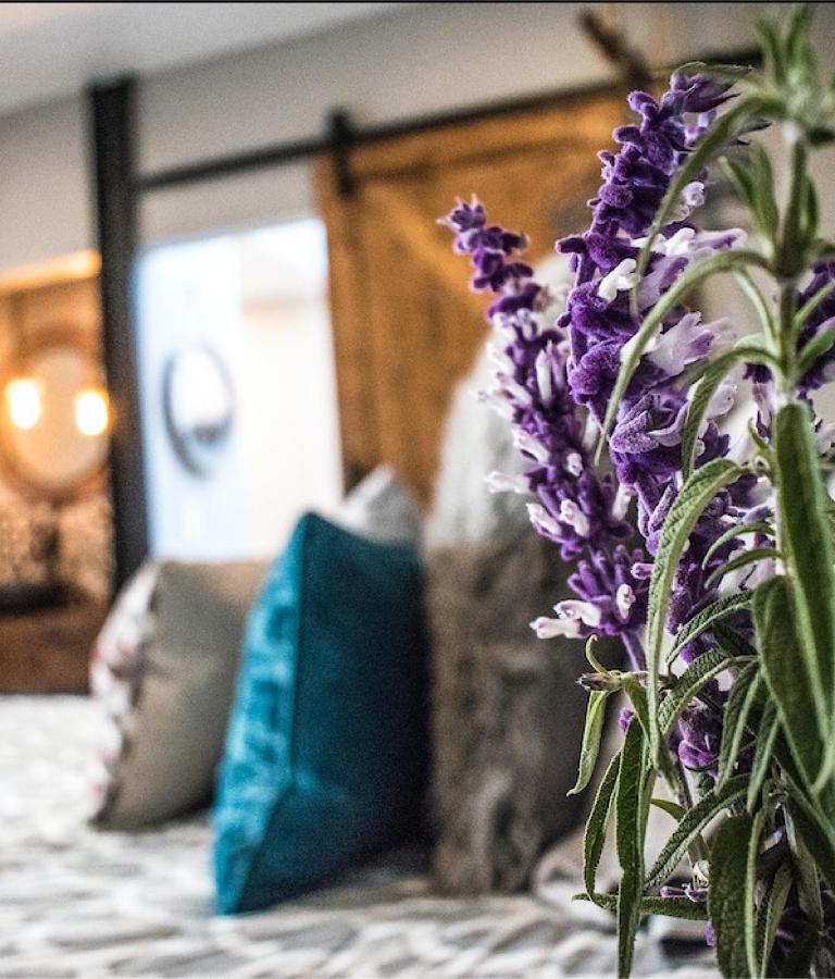 Finca Cazosa Valle de Guadalupe Ngoại thất bức ảnh