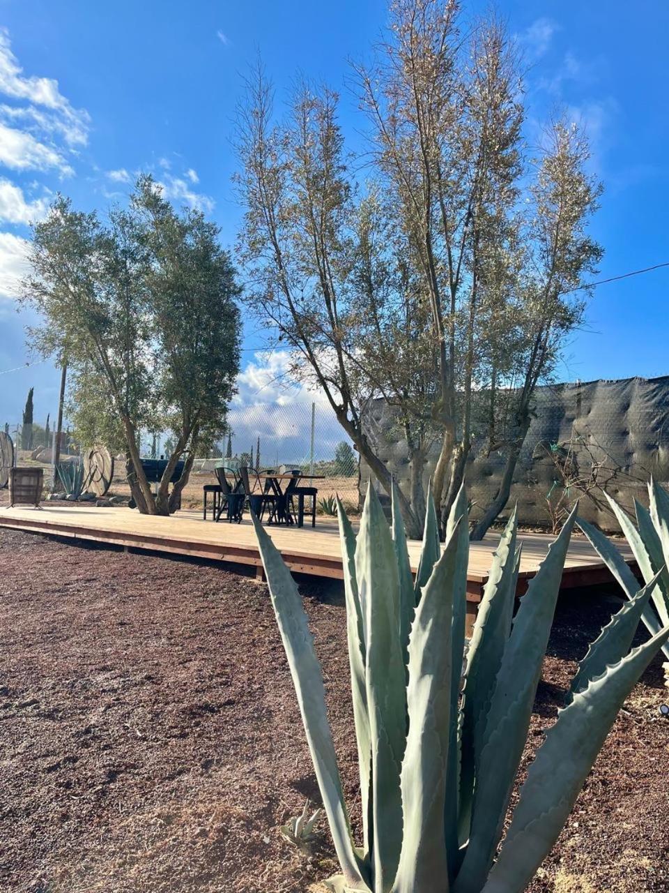 Finca Cazosa Valle de Guadalupe Ngoại thất bức ảnh