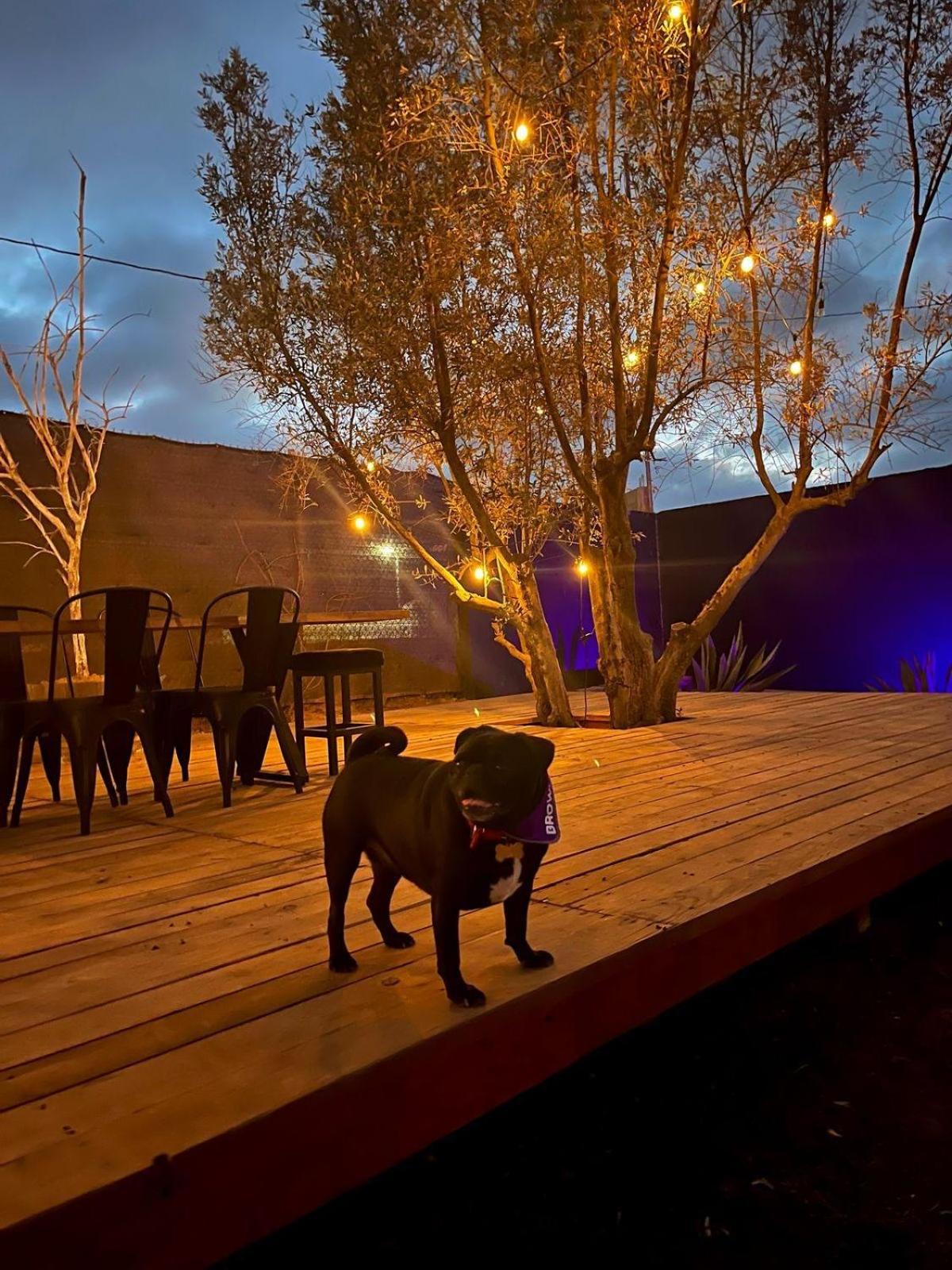 Finca Cazosa Valle de Guadalupe Ngoại thất bức ảnh