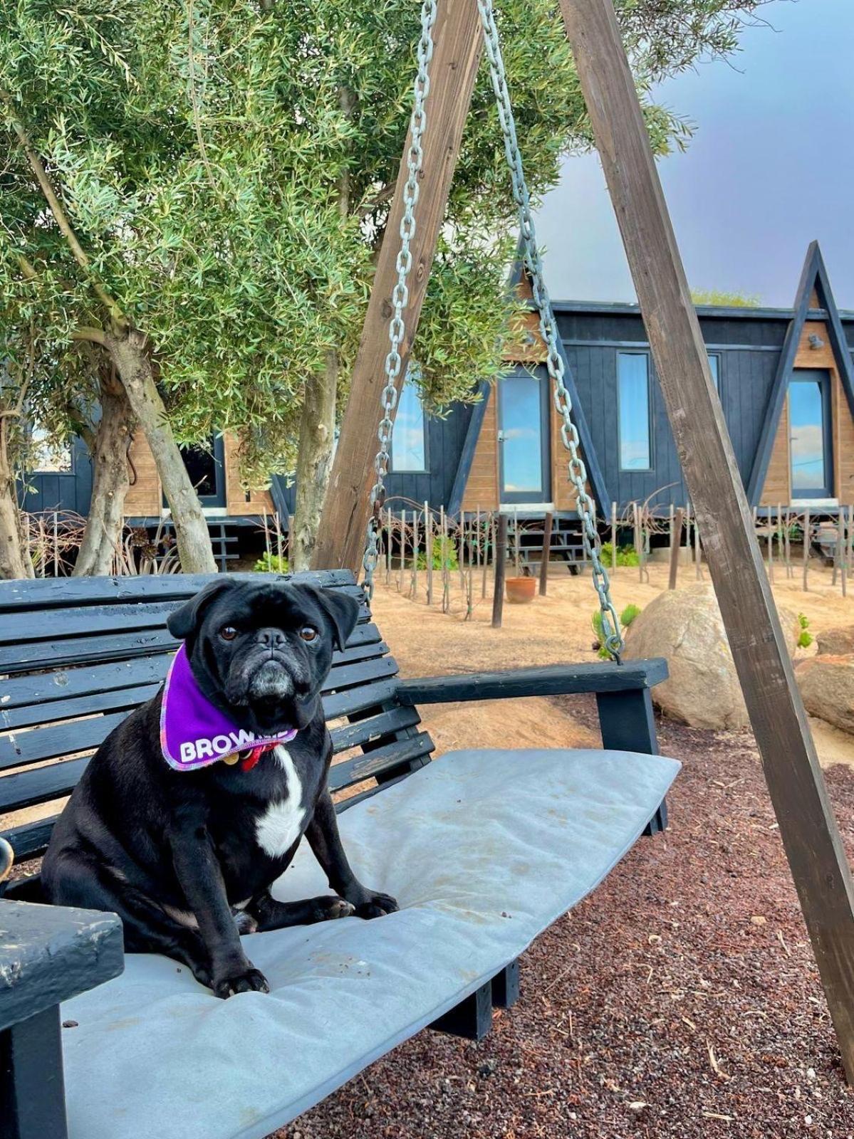 Finca Cazosa Valle de Guadalupe Ngoại thất bức ảnh